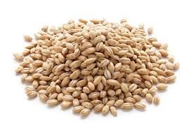 Wheat seeds Form : Seeds