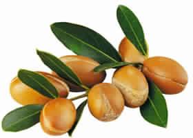 Argan Oil, Purity : 100% Pure