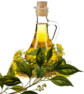 Suyash Camphor Oil,camphor Oil, Packaging Type : Glass Bottles