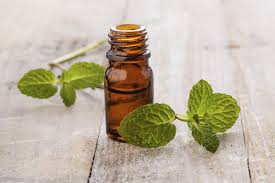 Spearmint oil