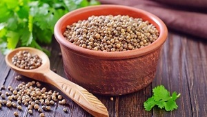 Coriander Powder