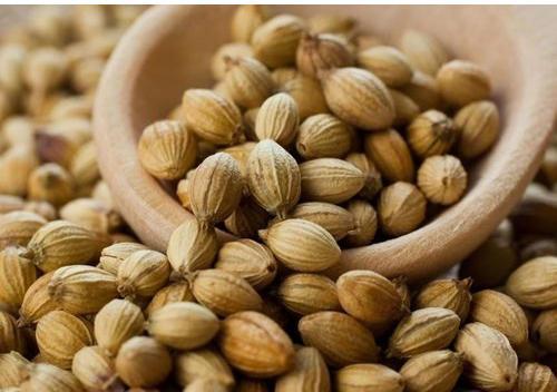 Coriander Seeds