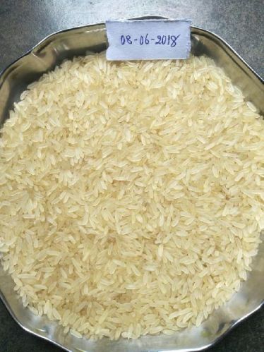 Plain Cotton Ir 64 Parboiled Rice, Occasion : Casual Wear, Formal Wear, Party Wear