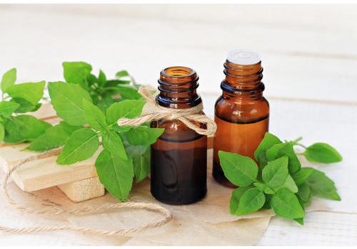 Basil Oil, Application : Diffusing,Massage,DIY Beauty Products