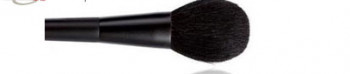 Cosmetic Brushes