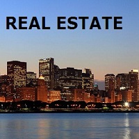 Real Estate Consultant