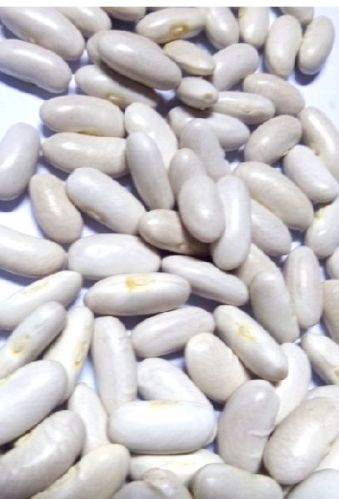 White kidney beans, Cultivation Type : Organic