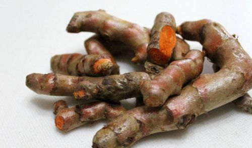 Fresh turmeric, Variety/Quality : A Grade