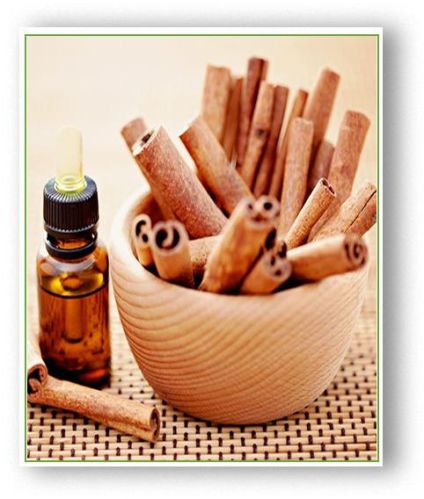 Cinnamon Oil, Shelf Life : 2 Year
