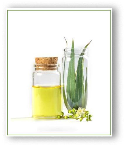 Eucalyptus Oil, For Medical, Form : Liquid