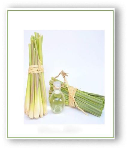 Lemongrass Oil, Purity : 97.90%