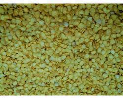 Organic Red Chilli Seeds, Packaging Type : Plastic Packets, PP Bags