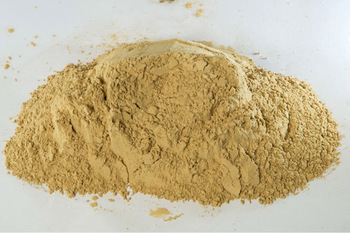 Pilling Grade Bentonite Powder, Packaging Type : Plastic Bags