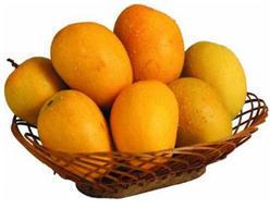 Organic Alphonso Mangoes, For Direct Consumption, Food Processing, Juice Making, Feature : Good In Taste