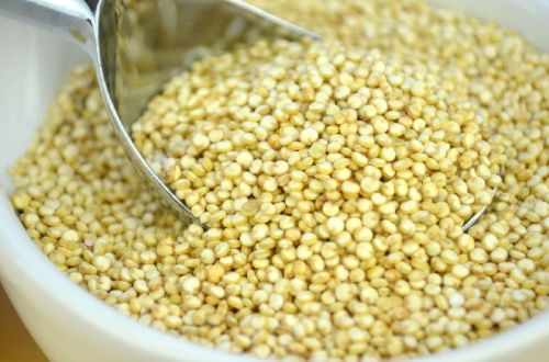 Organic Quinoa Seeds, Feature : Fat Free, Gluten Free