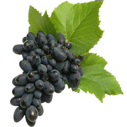 Organic Fresh Black Grapes