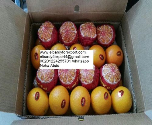 Orange, Certification : ISO9001