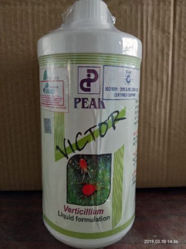 Verticillium Lecanii, For Agricultural, Purity : 99.80%