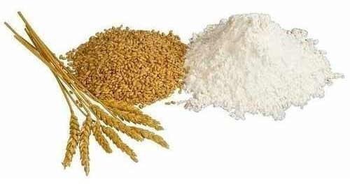 Organic Uttam Wheat Flour, For Cooking, Feature : Gluten Free, High In Protein, Natural Test