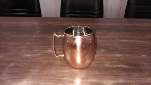 S.steel Mug Inside Polish Out Side Copper