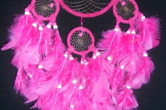 Wall Hanging Dream Catcher