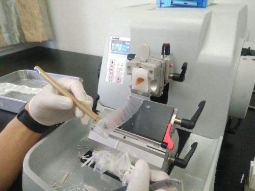 2-mode Rotary Microtome, Brand Name : Craftk, Packaging Type : White