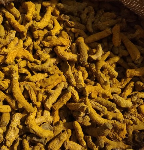 Organic Raw Assam Turmeric Finger, Color : Yellow