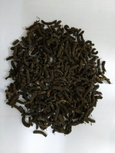 Organic Black Long Pepper, Form : Seed