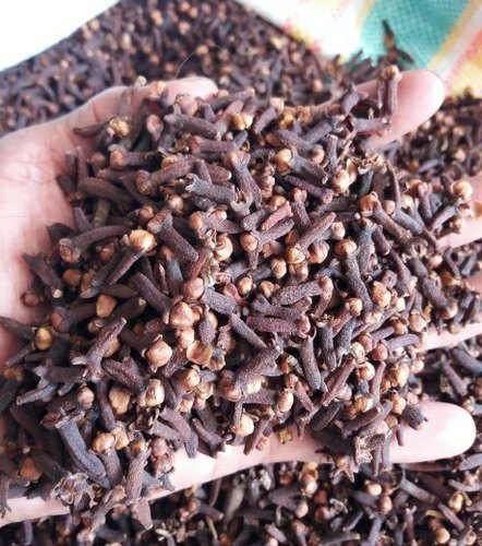 Cloves Seeds, Packaging Type : Gunny Bag, Packet