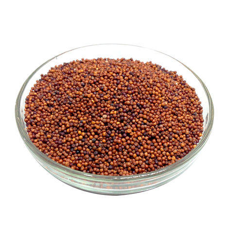 Organic Finger Millet Seeds, Packaging Size : 25kg, 50kg