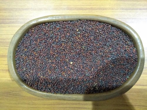 Organic Mustard Seeds, Packaging Type : Jute Bag, Paper Bag, Plastic Bag