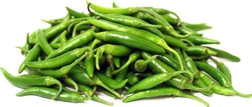 Organic Natural Green Chilli, Packaging Type : PP Bag