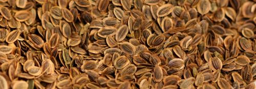 Soybean meal, Type : Animal Feed