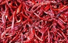 Green cardamom Small