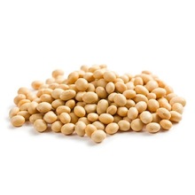 Common Soya Bean Seed, Style : Natural