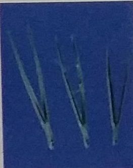 Metal Thumb Forceps, Feature : Rust Proof