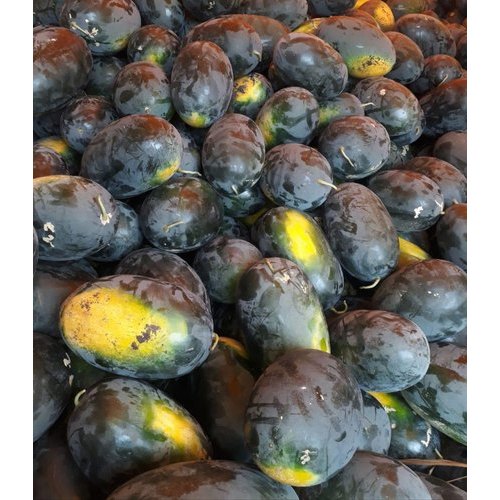 Common Hybrid Watermelon, Packaging Size : 20-25kg