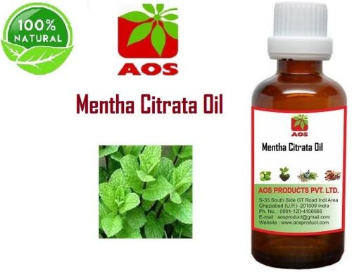 Mentha Citrata Oil, For Medicine, Packaging Type : HDPE