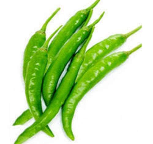 Organic Fresh Green Chilli