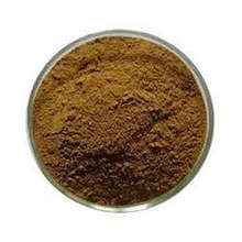 Coleus Extracts Powder, Packaging Type : Drum, Plastic Container