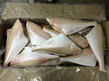 Leather Jacket Frozen Fish, Packaging Type : Bulk