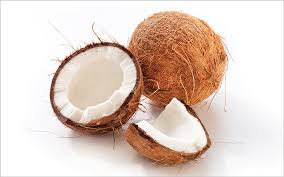 Coconut