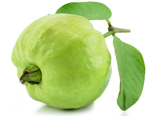 Guava, Variety : Fresh