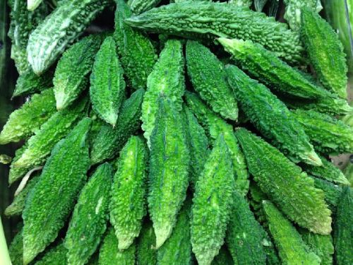 Karela, Variety : Fresh