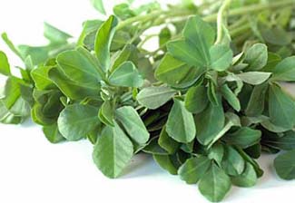 Methi, Variety : Fresh