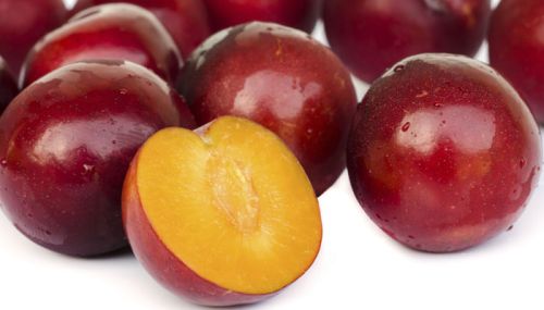 Plum, Variety : Fresh