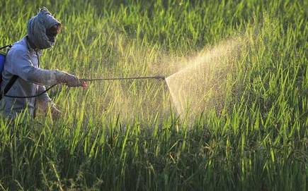 Profenophos 50% EC Insecticide, Purity : 99%