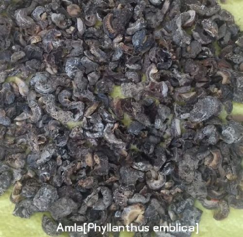 Organic Dried Amla