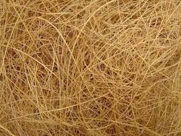 Coir Fibre, Pattern : Raw