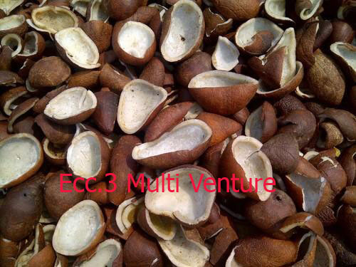 Deshelled Dried Coconut (Copra), Certification : Phytosanitary